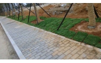 湖南華苑園林為長沙金州大道注入綠色生機